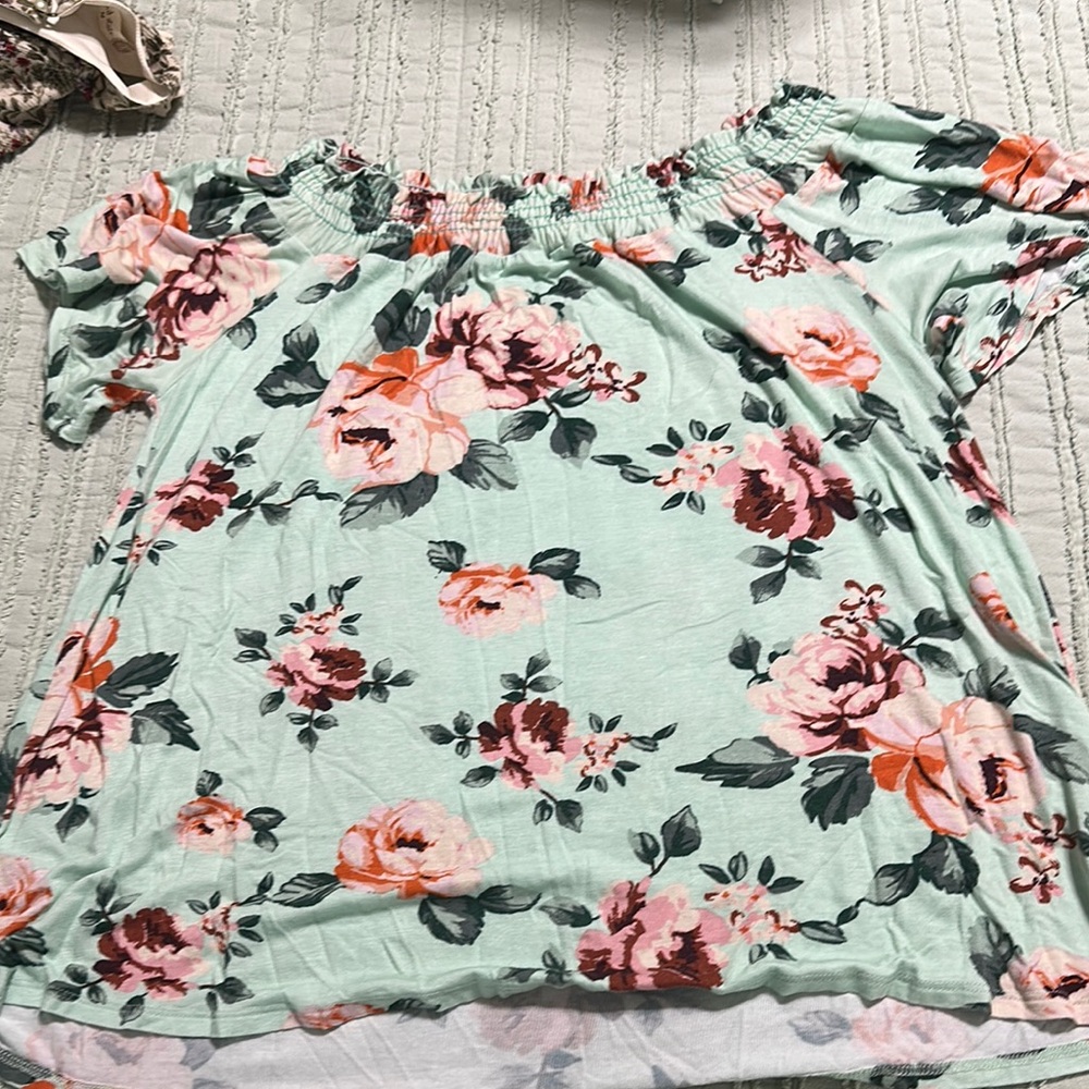 Elegant Floral Off-Shoulder Blouse - Mint and Pink